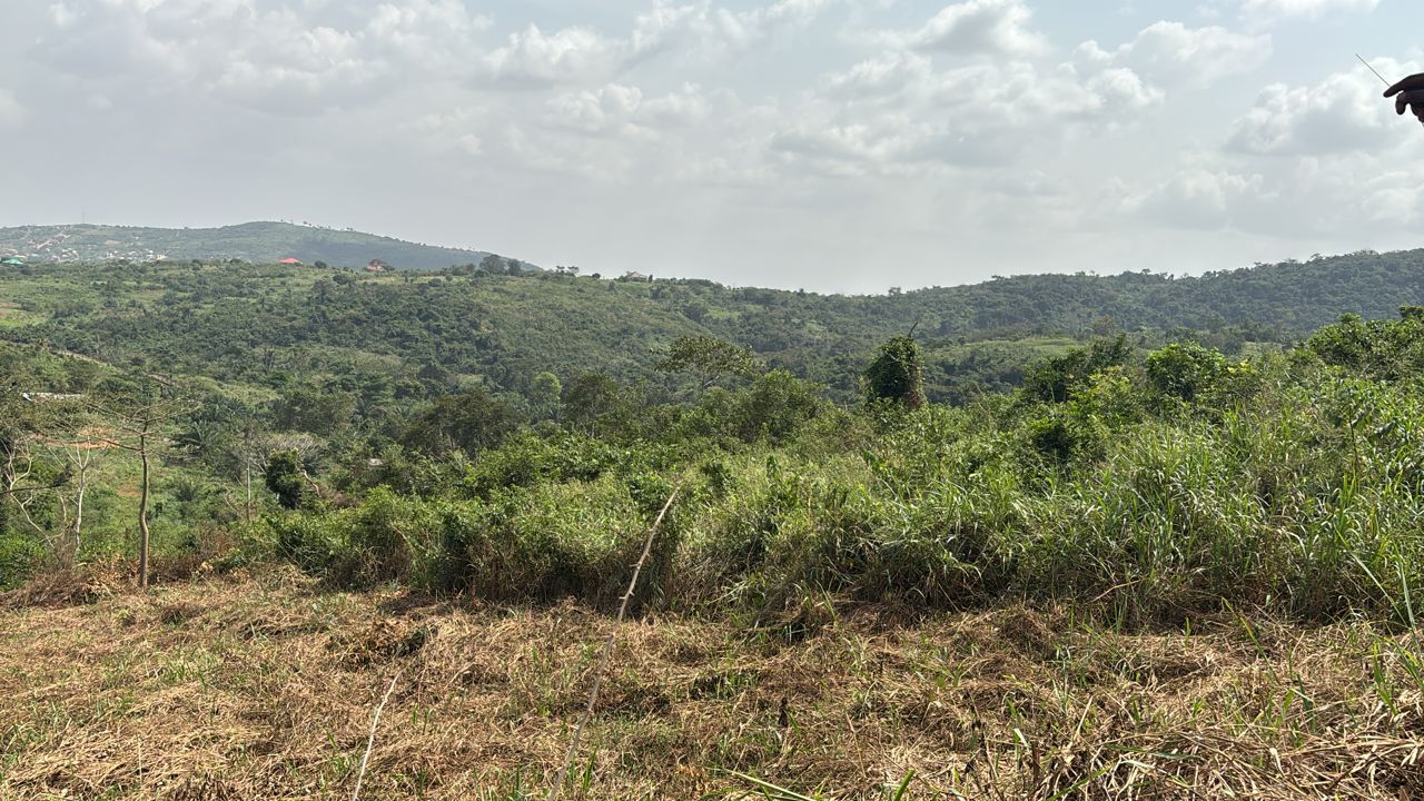 Land For Sale at Aburi Jamaicaso