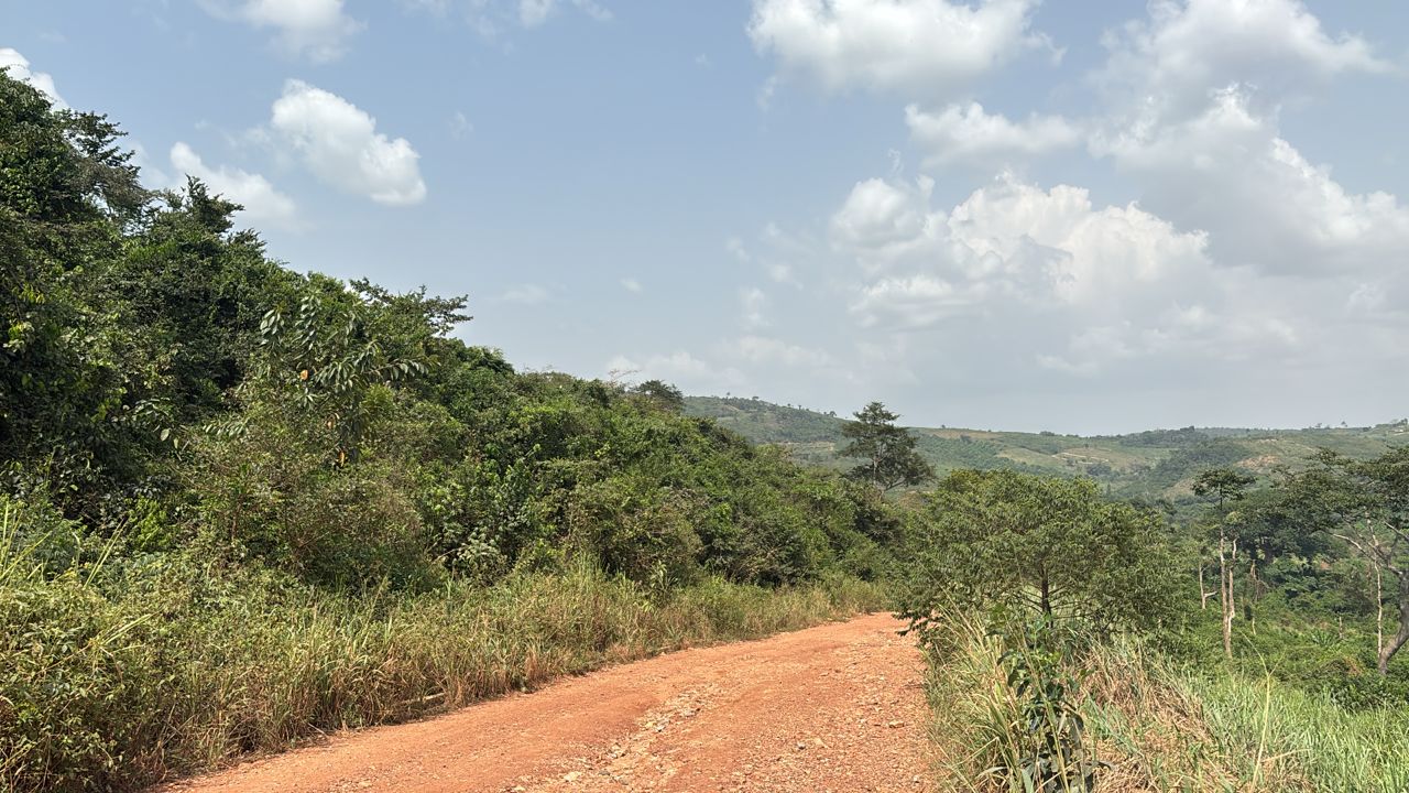 Land For Sale at Aburi Jamaicaso