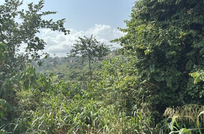 Land For Sale at Aburi Jamaicaso
