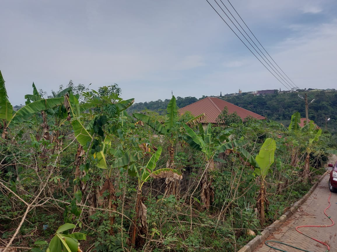 Land For Sale at Aburi