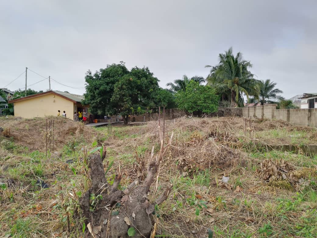 Land For Sale at Amasaman