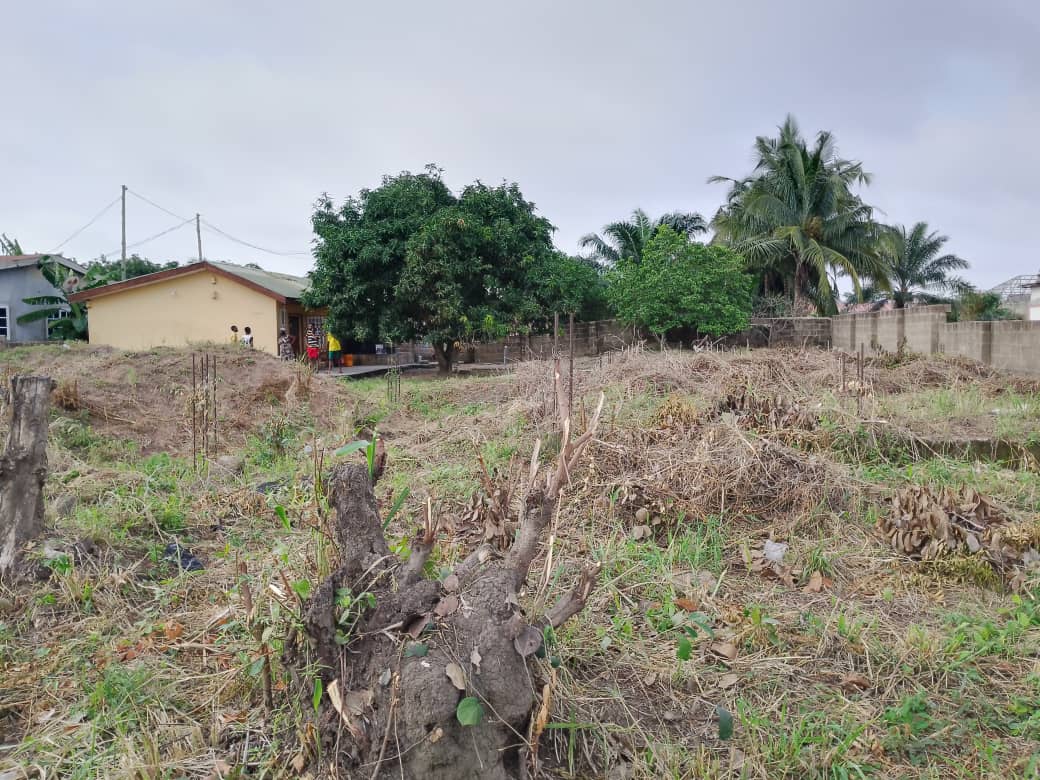 Land For Sale at Amasaman