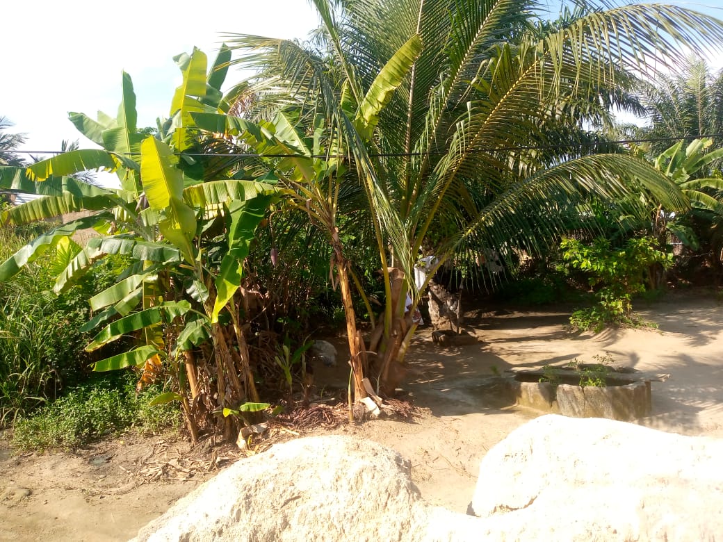 Land for Sale at Amasaman Ashalaja