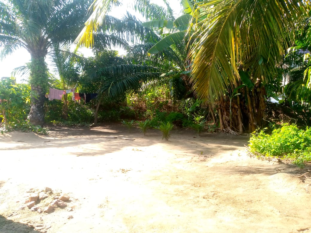 Land for Sale at Amasaman Ashalaja