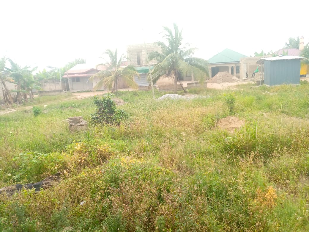 Land For Sale at Ashalaja