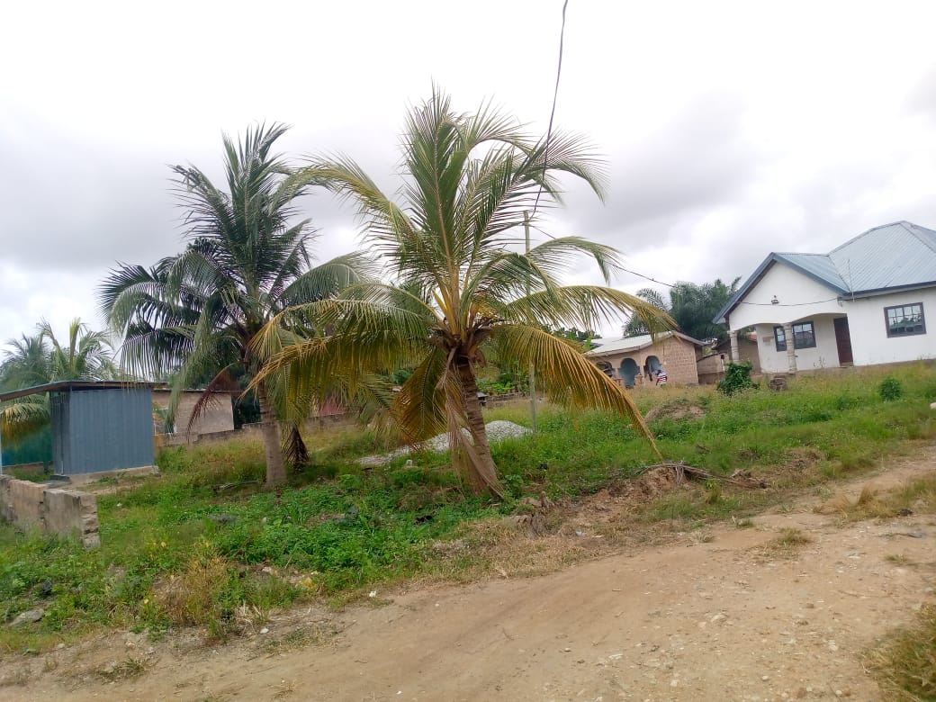 Land For Sale at Ashalaja