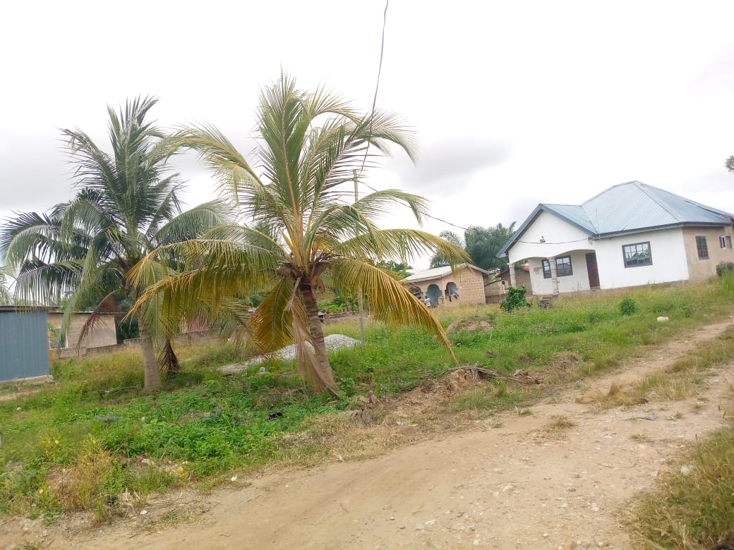 Land For Sale at Ashalaja