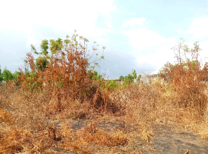 Land For Sale at Kasoa