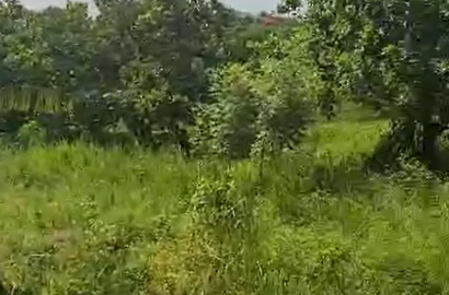 Land For Sale at Kasoa Opeikuman