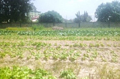 Land For Sale at Kumasi Ayeduase Newsite