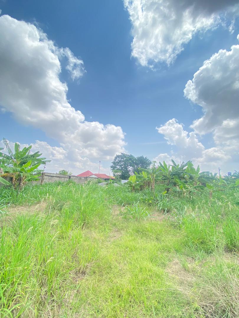 Land For Sale at Kumasi Tech-Apemso