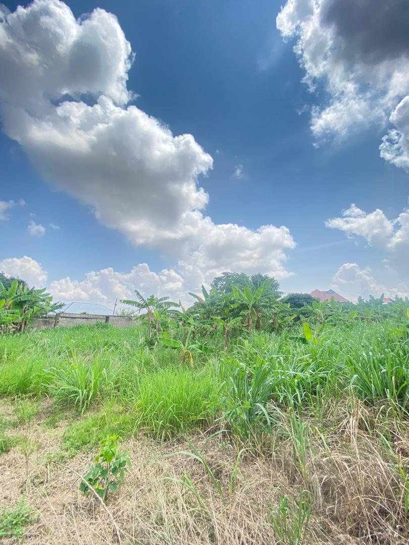 Land For Sale at Kumasi Tech-Apemso