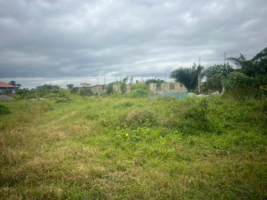 Land For Sale at Kwashiekuma-Amasaman