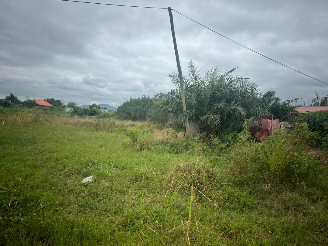 Land For Sale at Kwashiekuma-Amasaman