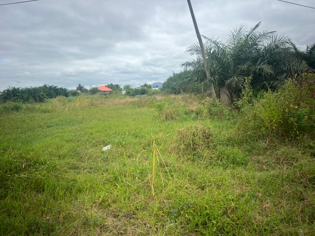 Land For Sale at Kwashiekuma-Amasaman