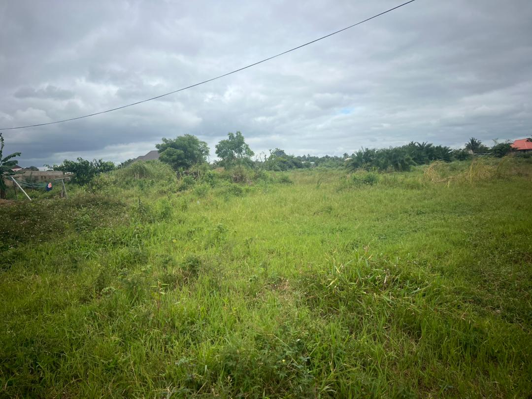 Land For Sale at Kwashiekuma-Amasaman