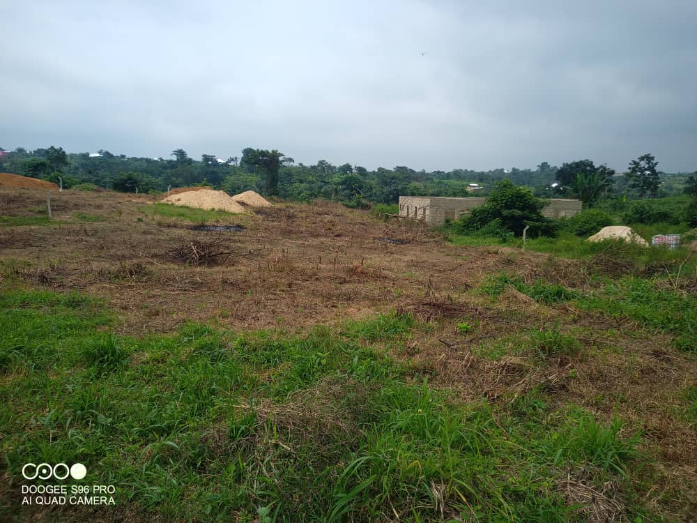 LAND FOR SALE AT NTONSO