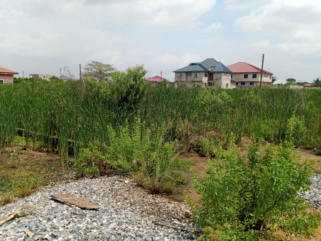 Land For Sale at Oyibi Saasabi