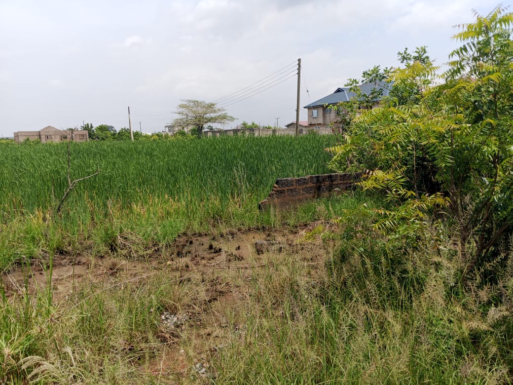 Land For Sale at Oyibi Saasabi