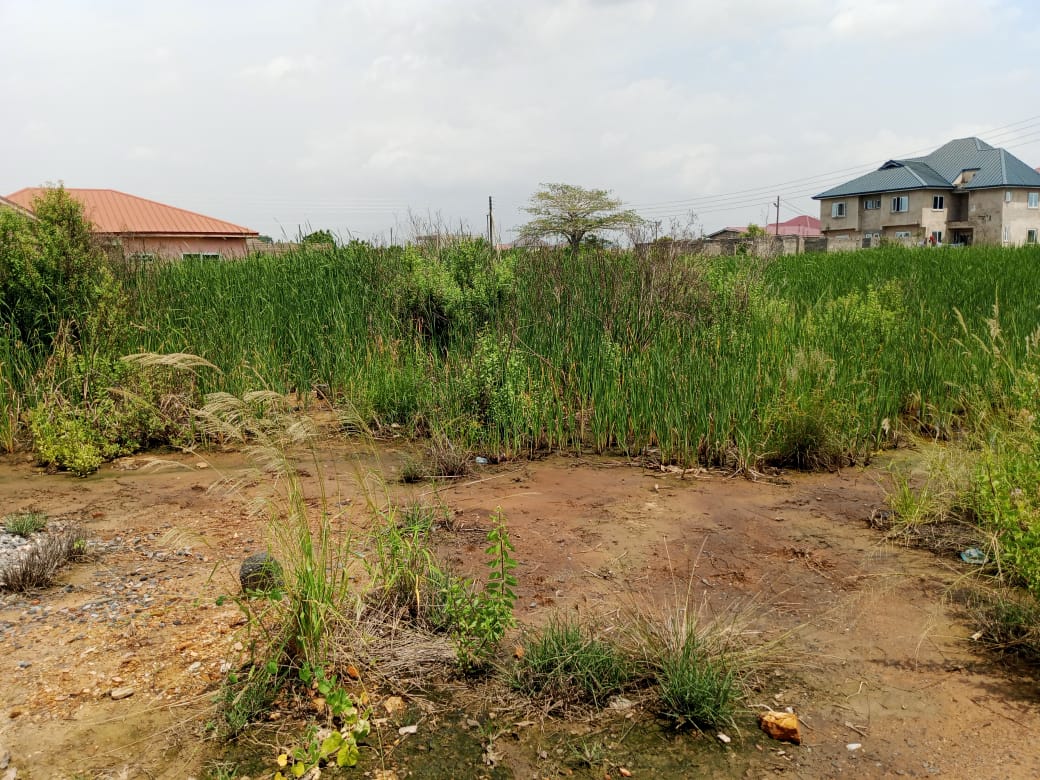 Land For Sale at Oyibi Saasabi