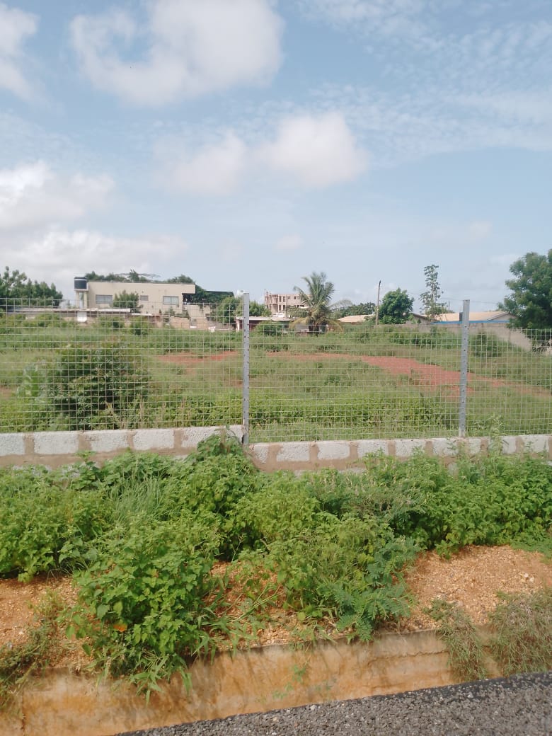 Land For Sale at Tse Addo