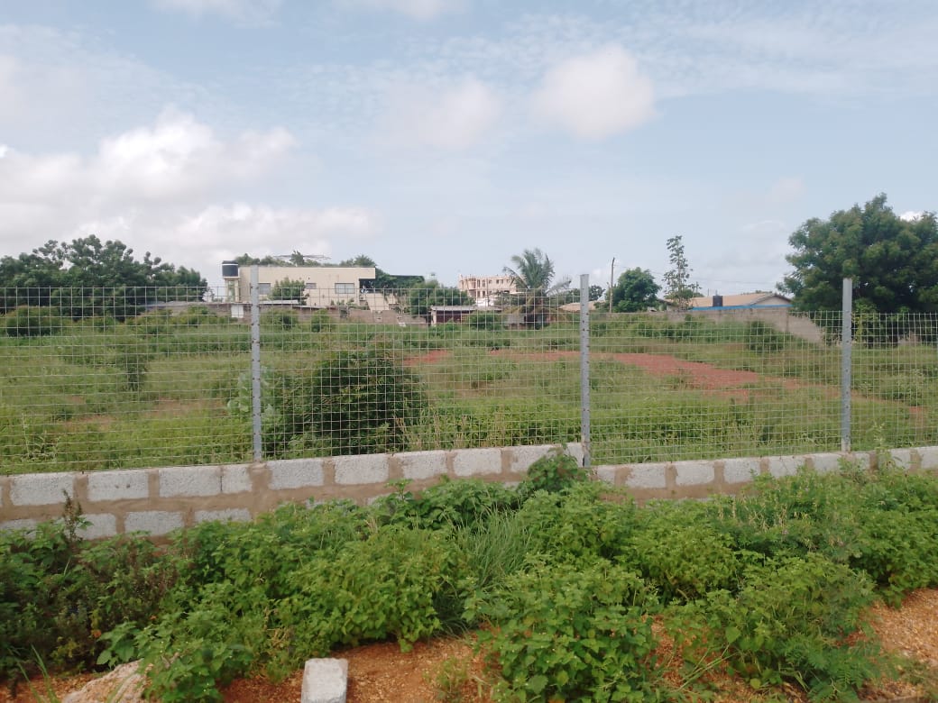 Land For Sale at Tse Addo