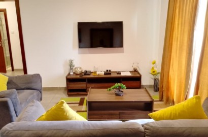 LUXURIOUS FURNISHED APARTMENTS AT SHIASHIE FOR RENT