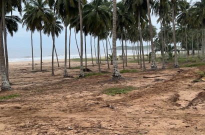 Beachfront Land For Sale at Mumford in the Central Region