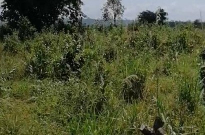 One acre of land for sale at Nsuta Ohemaa Dida
