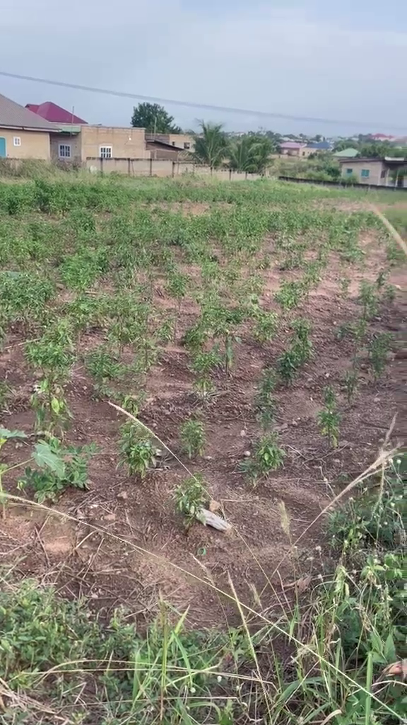 Residential Land For Sale at Kasoa Ofaakor