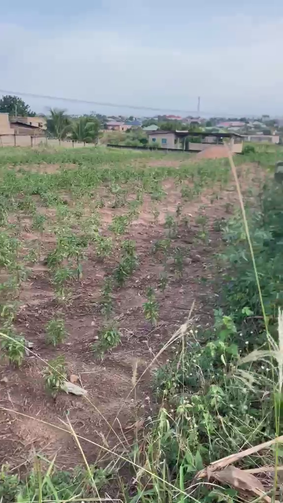Residential Land For Sale at Kasoa Ofaakor
