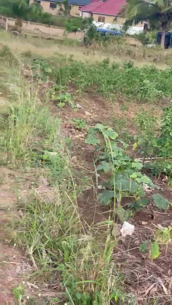 Residential Land For Sale at Kasoa Ofaakor