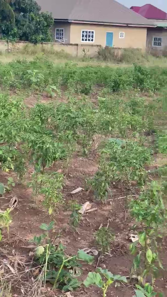 Residential Land For Sale at Kasoa Ofaakor