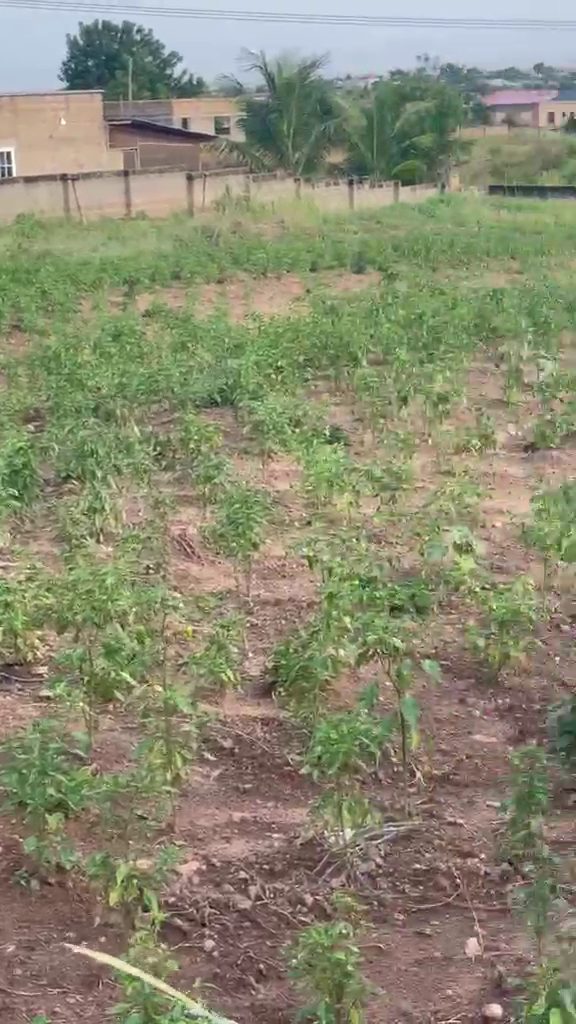 Residential Land For Sale at Kasoa Ofaakor