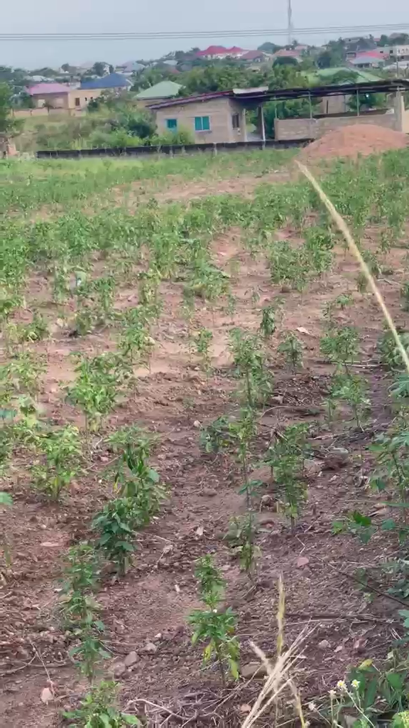 Residential Land For Sale at Kasoa Ofaakor