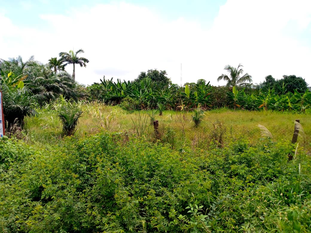 One 1-acre Land for Sale at Haatso