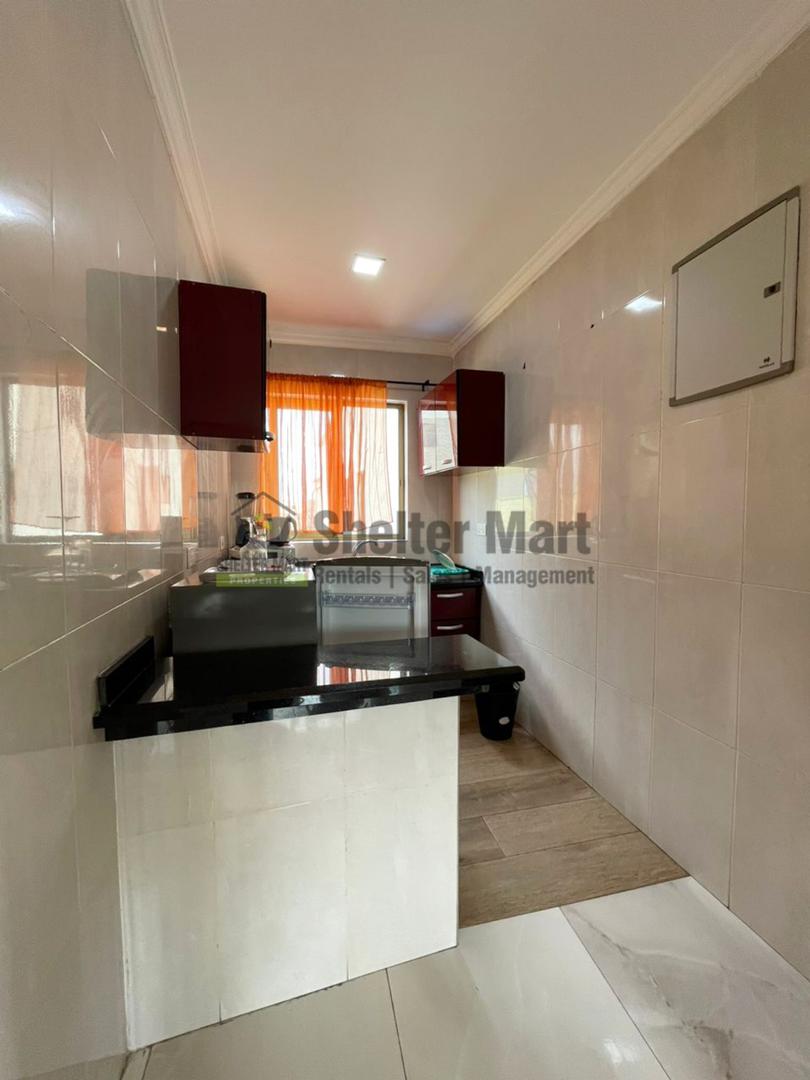 One (1) and Two(2) Bedrooms Furnished Apartments for Rent at East Legon