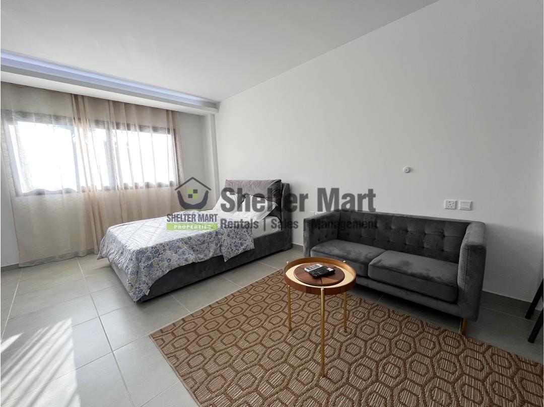 One (1) Bedroom Studio Apartment for Rent at Cantonments (Fully Furnished)