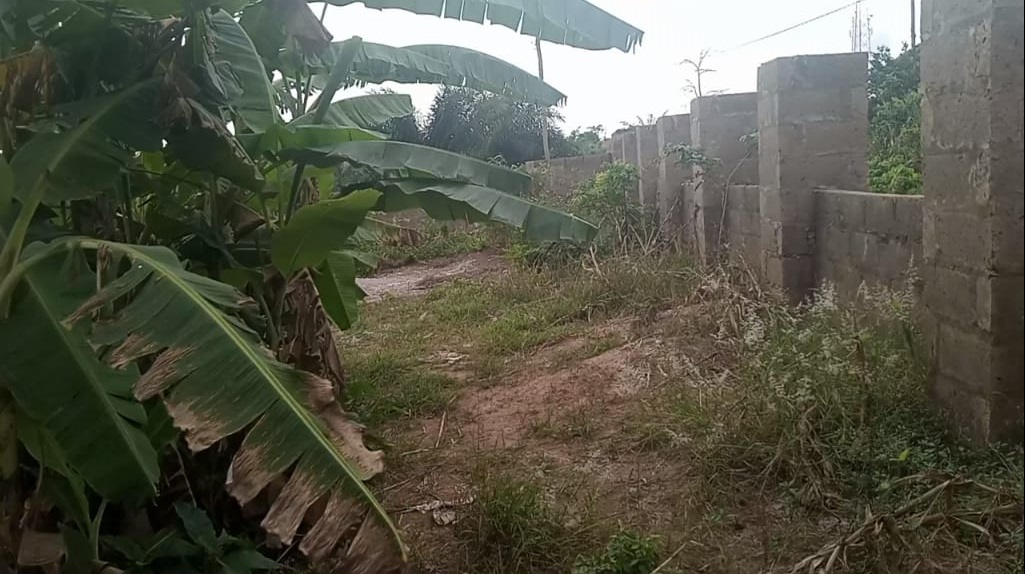 One (1) Plot of Land for Sale at Atwima Boko - Kumasi