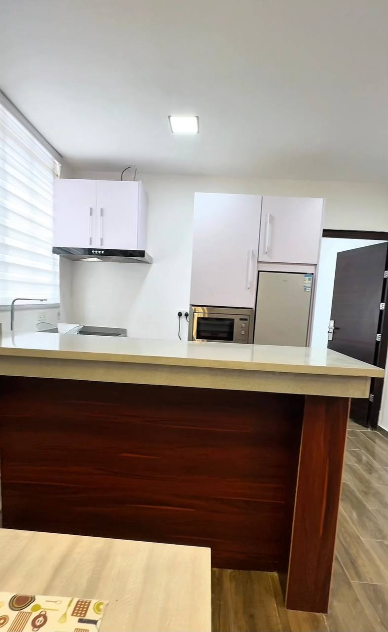 One (1) Bedroom Fully Furnished Apartment For Rent at East Legon Adjiringanor