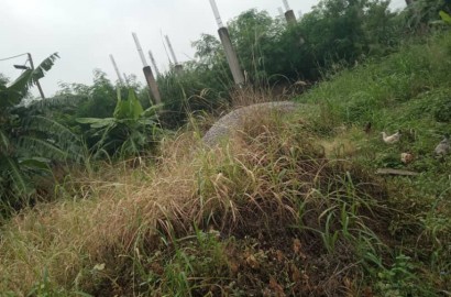 One (1) Plot of Land For Sale at Dodowa