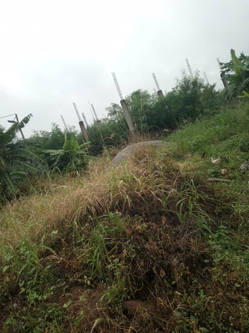 One (1) Plot of Land For Sale at Dodowa