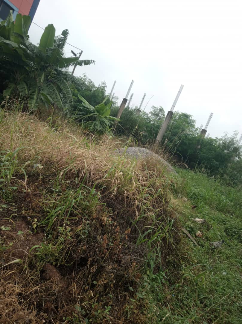 One (1) Plot of Land For Sale at Dodowa