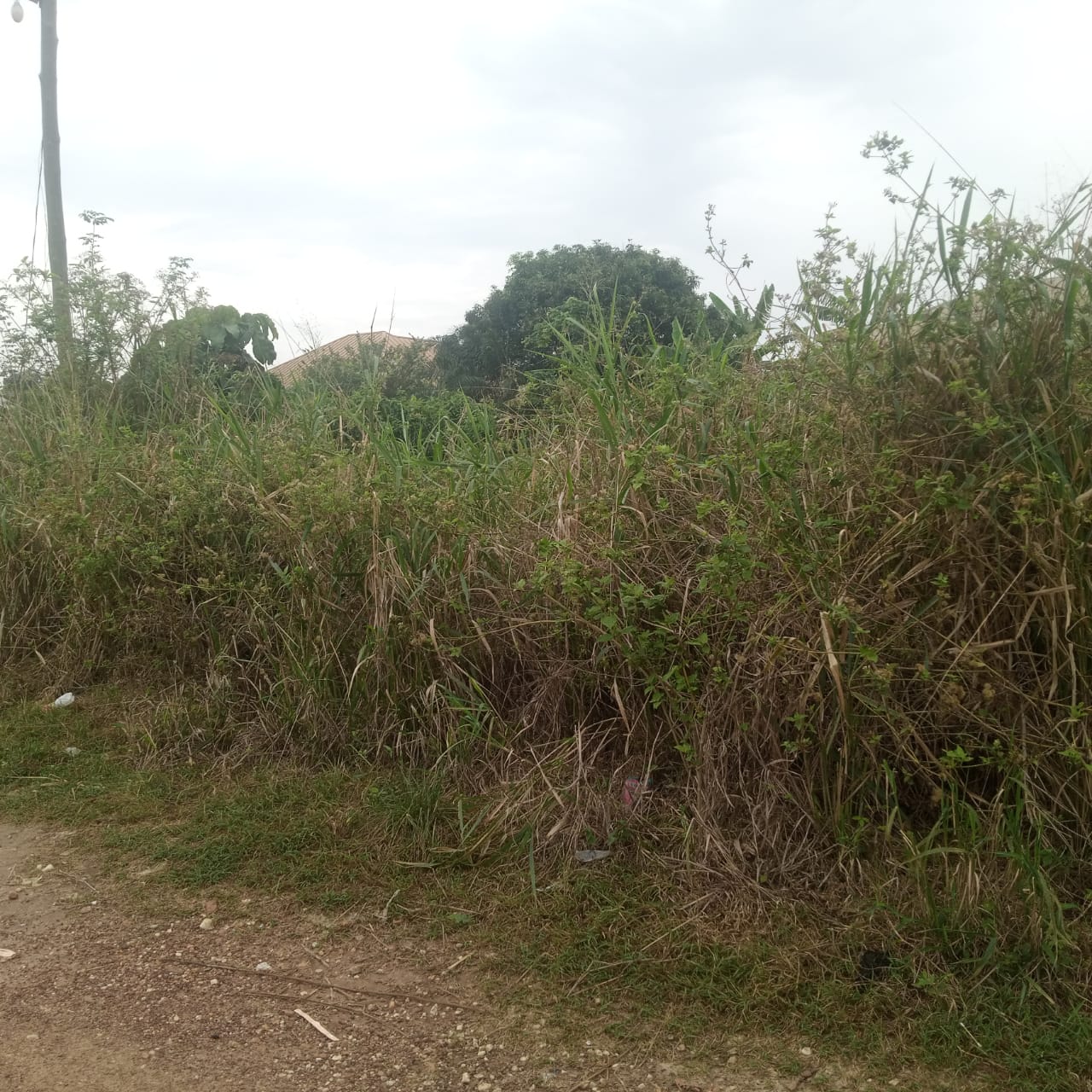 One Plot of Land for Sale at Nyankyerenease - Kumasi