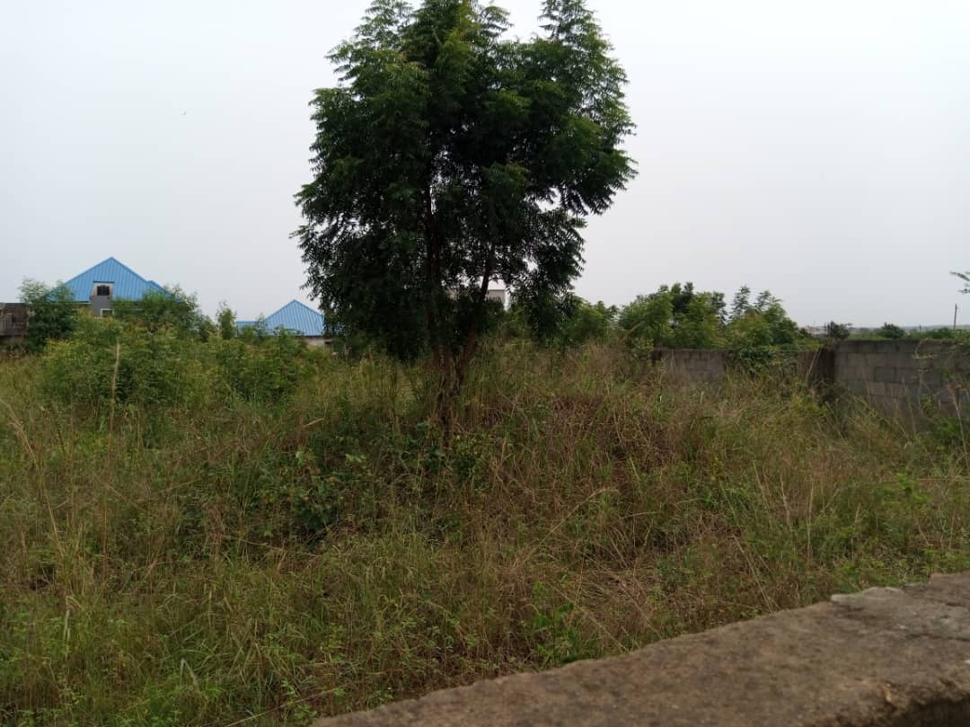 2 Plots of Land for sale