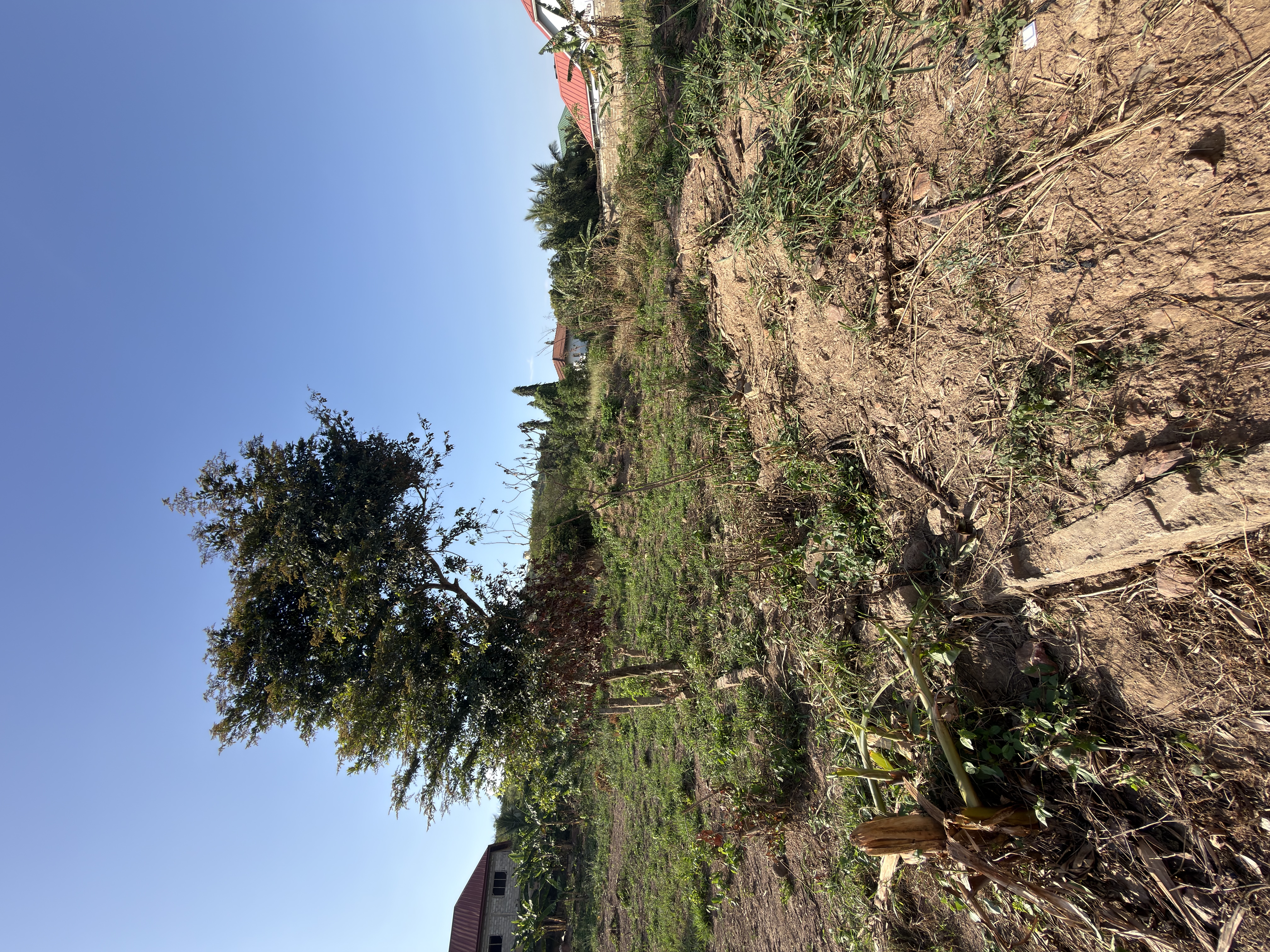 Land For Sale at Oyarifa