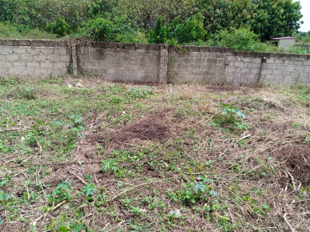 Half Plot Of Land For Sale