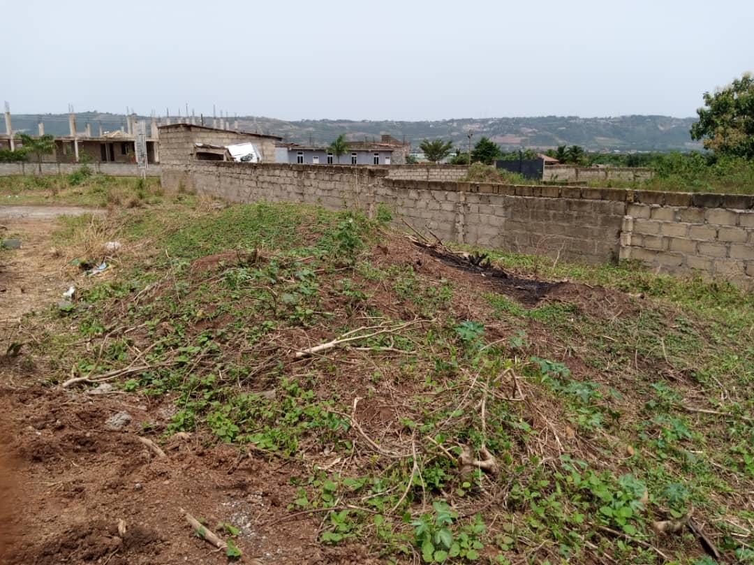 a-small-plot-of-land-planted-with-different-vegetables-stock-image