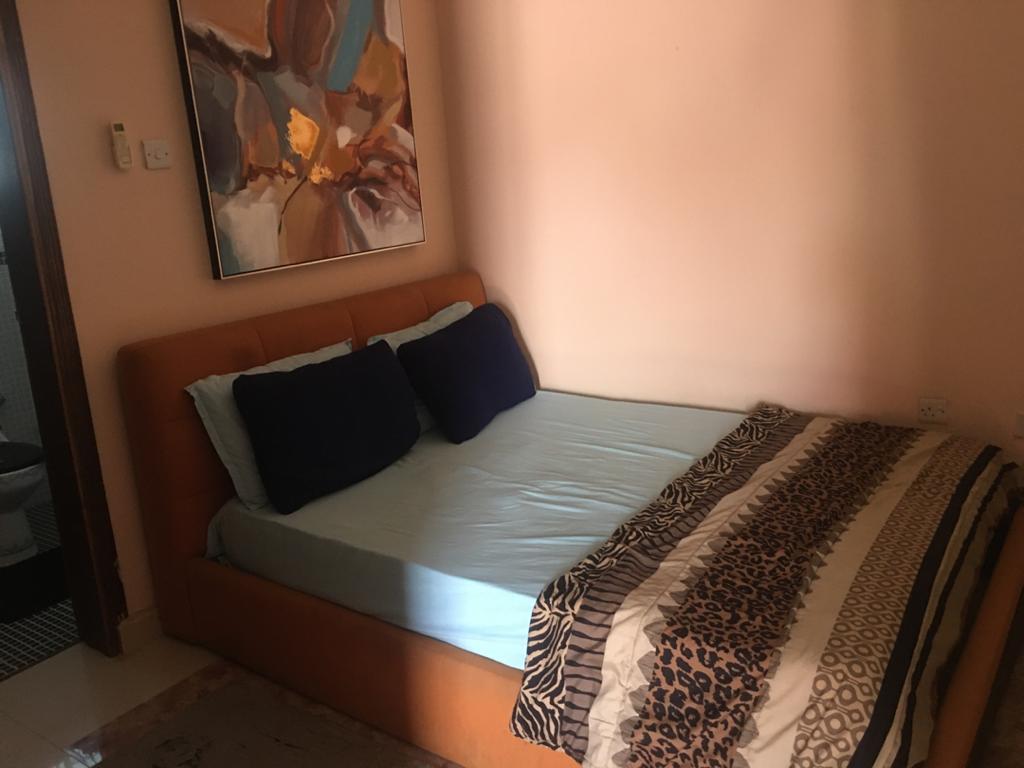 1 Bedroom Furnished Apartment for Rent