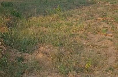 Plot of Land For Sale at Ashalaja